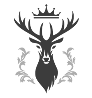 logo1